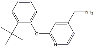 [2-(2-tert-butylphenoxy)pyridin-4-yl]methylamine 结构式