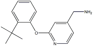 [2-(2-tert-butylphenoxy)pyridin-4-yl]methylamine