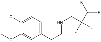 [2-(3,4-dimethoxyphenyl)ethyl](2,2,3,3-tetrafluoropropyl)amine,,结构式