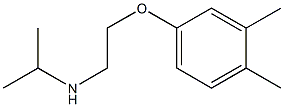 [2-(3,4-dimethylphenoxy)ethyl](propan-2-yl)amine 化学構造式