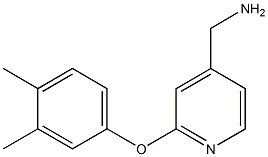 [2-(3,4-dimethylphenoxy)pyridin-4-yl]methylamine,,结构式