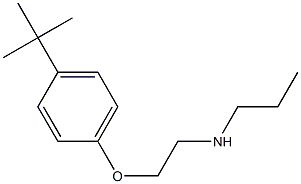 [2-(4-tert-butylphenoxy)ethyl](propyl)amine Structure