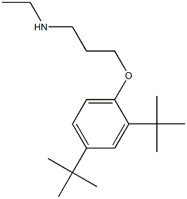 [3-(2,4-di-tert-butylphenoxy)propyl](ethyl)amine|