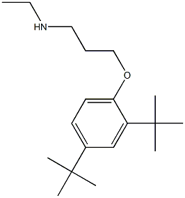 [3-(2,4-di-tert-butylphenoxy)propyl](ethyl)amine,,结构式