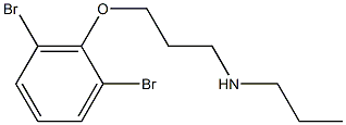 [3-(2,6-dibromophenoxy)propyl](propyl)amine