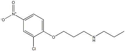 [3-(2-chloro-4-nitrophenoxy)propyl](propyl)amine,,结构式