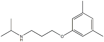 [3-(3,5-dimethylphenoxy)propyl](propan-2-yl)amine|