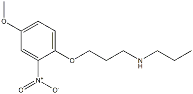 [3-(4-methoxy-2-nitrophenoxy)propyl](propyl)amine