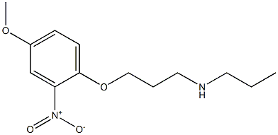  [3-(4-methoxy-2-nitrophenoxy)propyl](propyl)amine