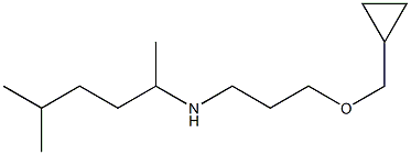 [3-(cyclopropylmethoxy)propyl](5-methylhexan-2-yl)amine 结构式