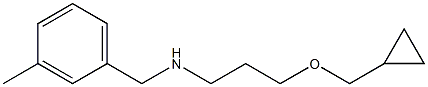 [3-(cyclopropylmethoxy)propyl][(3-methylphenyl)methyl]amine,,结构式