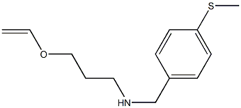 [3-(ethenyloxy)propyl]({[4-(methylsulfanyl)phenyl]methyl})amine