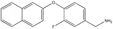 [3-fluoro-4-(naphthalen-2-yloxy)phenyl]methanamine Struktur