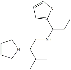 [3-methyl-2-(pyrrolidin-1-yl)butyl][1-(thiophen-2-yl)propyl]amine|