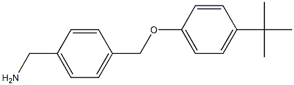 [4-(4-tert-butylphenoxymethyl)phenyl]methanamine Structure