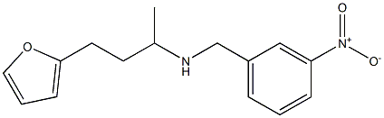 [4-(furan-2-yl)butan-2-yl][(3-nitrophenyl)methyl]amine|