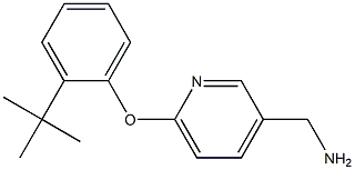 [6-(2-tert-butylphenoxy)pyridin-3-yl]methylamine|