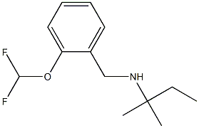 {[2-(difluoromethoxy)phenyl]methyl}(2-methylbutan-2-yl)amine