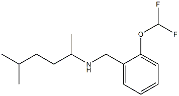 {[2-(difluoromethoxy)phenyl]methyl}(5-methylhexan-2-yl)amine|