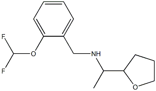 {[2-(difluoromethoxy)phenyl]methyl}[1-(oxolan-2-yl)ethyl]amine,,结构式