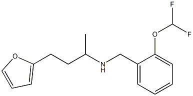 {[2-(difluoromethoxy)phenyl]methyl}[4-(furan-2-yl)butan-2-yl]amine Structure