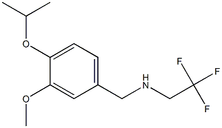 {[3-methoxy-4-(propan-2-yloxy)phenyl]methyl}(2,2,2-trifluoroethyl)amine,,结构式