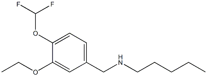 {[4-(difluoromethoxy)-3-ethoxyphenyl]methyl}(pentyl)amine,,结构式
