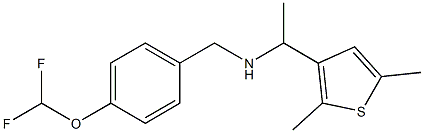 {[4-(difluoromethoxy)phenyl]methyl}[1-(2,5-dimethylthiophen-3-yl)ethyl]amine,,结构式