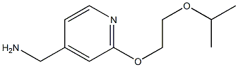 {2-[2-(propan-2-yloxy)ethoxy]pyridin-4-yl}methanamine 结构式