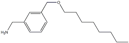{3-[(octyloxy)methyl]phenyl}methanamine