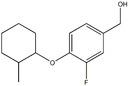  {3-fluoro-4-[(2-methylcyclohexyl)oxy]phenyl}methanol