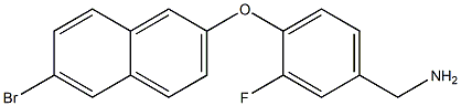 {4-[(6-bromonaphthalen-2-yl)oxy]-3-fluorophenyl}methanamine