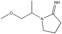 1-(1-methoxypropan-2-yl)pyrrolidin-2-imine 结构式