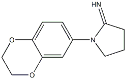 1-(2,3-dihydro-1,4-benzodioxin-6-yl)pyrrolidin-2-imine Structure