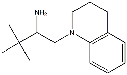 1-(3,4-dihydroquinolin-1(2H)-yl)-3,3-dimethylbutan-2-amine|