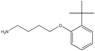 1-(4-aminobutoxy)-2-tert-butylbenzene|