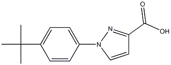 1-(4-tert-butylphenyl)-1H-pyrazole-3-carboxylic acid 化学構造式