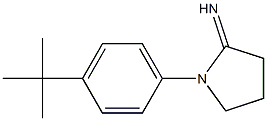 1-(4-tert-butylphenyl)pyrrolidin-2-imine,,结构式