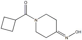  1-(cyclobutylcarbonyl)piperidin-4-one oxime