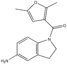 1-[(2,5-dimethylfuran-3-yl)carbonyl]-2,3-dihydro-1H-indol-5-amine 化学構造式