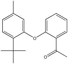 1-[2-(2-tert-butyl-5-methylphenoxy)phenyl]ethan-1-one,,结构式