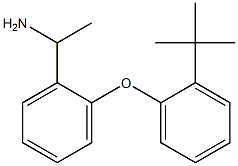 1-[2-(2-tert-butylphenoxy)phenyl]ethan-1-amine,,结构式