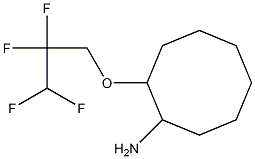 2-(2,2,3,3-tetrafluoropropoxy)cyclooctan-1-amine|