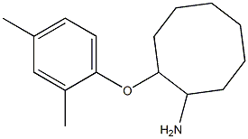  2-(2,4-dimethylphenoxy)cyclooctan-1-amine