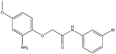 2-(2-amino-4-methoxyphenoxy)-N-(3-bromophenyl)acetamide Structure