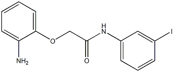 2-(2-aminophenoxy)-N-(3-iodophenyl)acetamide Structure