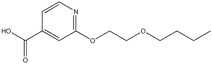 2-(2-butoxyethoxy)pyridine-4-carboxylic acid Structure