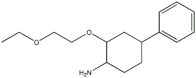 2-(2-ethoxyethoxy)-4-phenylcyclohexan-1-amine 结构式