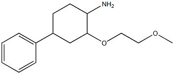 2-(2-methoxyethoxy)-4-phenylcyclohexan-1-amine,,结构式