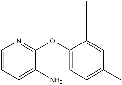 2-(2-tert-butyl-4-methylphenoxy)pyridin-3-amine